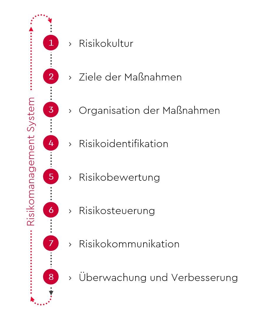 schaubild-risk-management-services