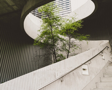 baum-in-der-mitte-einer-beton-treppe